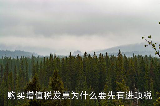 為什么要買進(jìn)項(xiàng)票，購買增值稅發(fā)票為什么要先有進(jìn)項(xiàng)稅