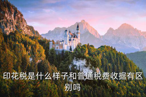 稅花什么樣，印花稅是什么樣子和普通稅費收據(jù)有區(qū)別嗎