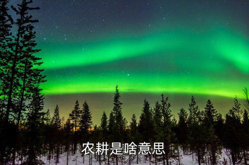 農(nóng)業(yè)機(jī)耕是什么意思，東機(jī)耕是什么