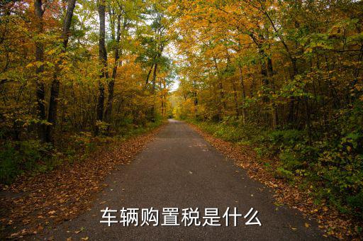 車購稅資金是什么，購置稅是什么