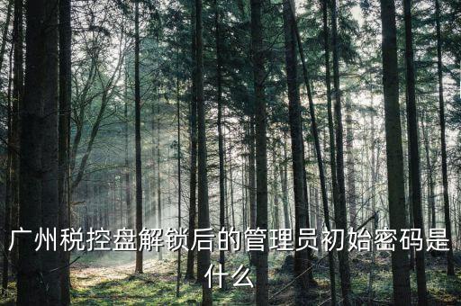 稅控盤管理員密碼是什么意思，廣州稅控盤解鎖后的管理員初始密碼是什么