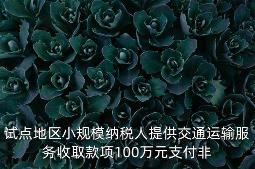 試點地區(qū)小規(guī)模納稅人提供交通運(yùn)輸服務(wù)收取款項100萬元支付非
