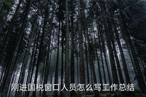 在國稅上班有什么感想，我是合同員工到國稅局上班一個月心得體會