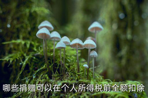 什么捐贈(zèng)可以稅前扣除，求助企業(yè)在所得稅前可以扣除的捐贈(zèng)支出