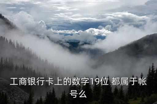 工行19位賬號應(yīng)用號是什么，請解釋工商銀行19位帳號的組成含義