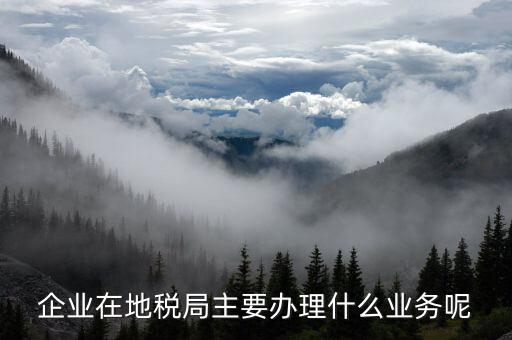 廣州地稅辦理什么業(yè)務(wù)，廣州稅務(wù)登記