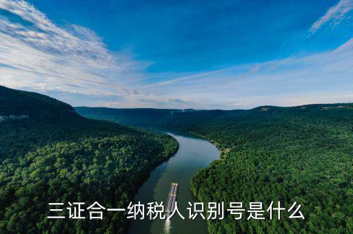 三證合一稅務(wù)識(shí)別號(hào)是什么，三證合一后納稅人識(shí)別號(hào)是什么意思