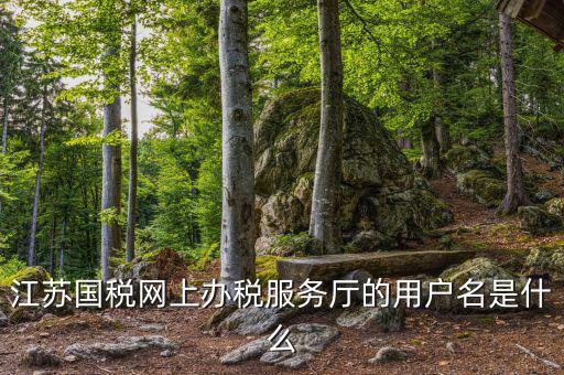 江蘇國稅用戶名密碼是什么意思，江蘇國稅網(wǎng)上辦稅服務(wù)廳的用戶名是什么