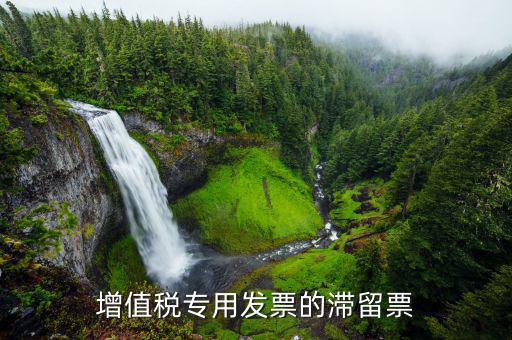 滯留票核查工作是干什么的，稅務局會查到期未抵扣的滯留增值稅專用發(fā)票嗎用來查帳外帳