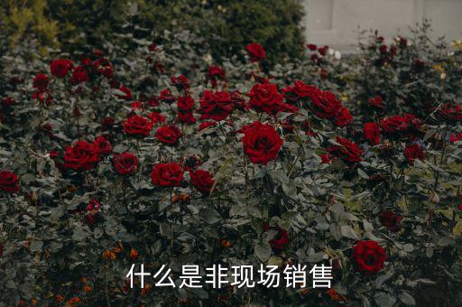 什么是非現(xiàn)場(chǎng)消費(fèi)食品，什么是非現(xiàn)場(chǎng)消費(fèi)的食品
