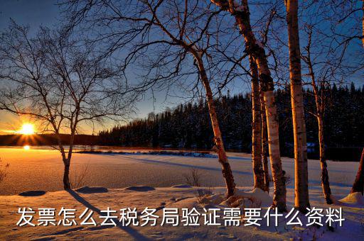 到稅務(wù)局認證發(fā)票需要帶什么，去稅務(wù)局認證發(fā)票需要帶什么資料呢
