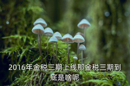 金稅三期雙軌是什么，金稅三期是什么意思