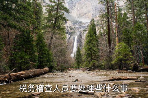 地稅局稽查員是做什么，國稅局的稽查是干什么的他們中有人講干不了的活可以抓人