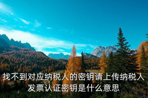 找不到對應(yīng)納稅人的密鑰請上傳納稅人發(fā)票認證密鑰是什么意思