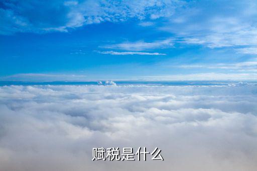 深圳賦稅率是什么意思，深圳街邊在喊發(fā)票的是什么意思