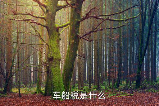 摩托車車船稅是什么，摩托車也收車船稅嗎