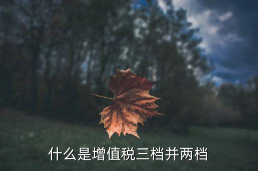 增值稅三檔稅率是什么，什么是增值稅三檔并兩檔