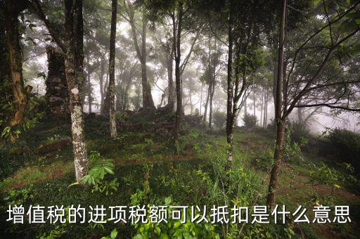 進(jìn)項(xiàng)抵扣是什么，增值稅的進(jìn)項(xiàng)稅額可以抵扣是什么意思