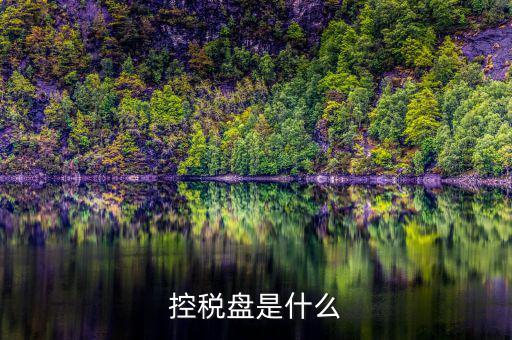 什么是金稅盤 什么是稅控盤，稅控盤的介紹