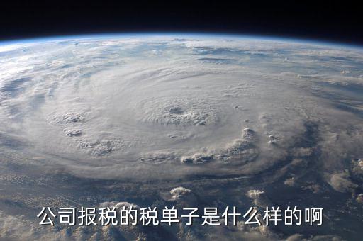 稅務(wù)清單是什么樣的，公司報(bào)稅的稅單子是什么樣的啊