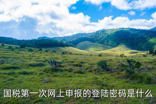 浙江國(guó)稅登入密碼是什么意思，稅務(wù)局網(wǎng)站的登入賬戶初始密碼是什么