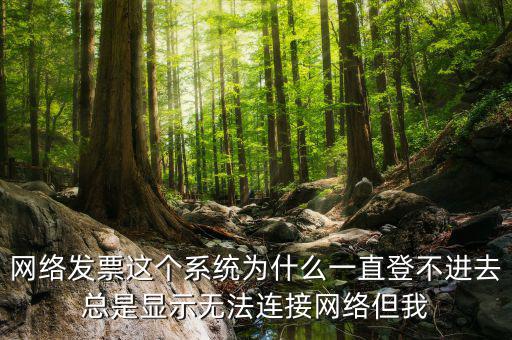網(wǎng)絡(luò)發(fā)票 登錄密碼是什么情況，樂稅社區(qū)稅友咨詢問題增值稅發(fā)票查詢平臺(tái)登錄密碼是什么