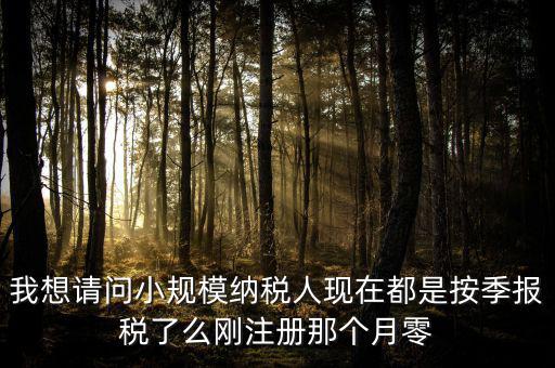 小規(guī)模什么時候零申報，增值稅小規(guī)模納稅人免稅零申報的歸屬期間