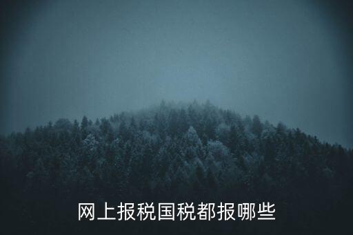 國稅云辦稅廳都報什么，你好我是新手我想問一下前輩國稅每月季年都報什么報表