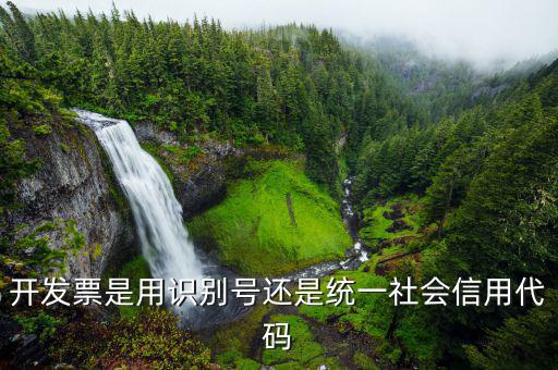 發(fā)票統(tǒng)一社會(huì)信用代碼是什么意思，開發(fā)票是用識別號還是統(tǒng)一社會(huì)信用代碼
