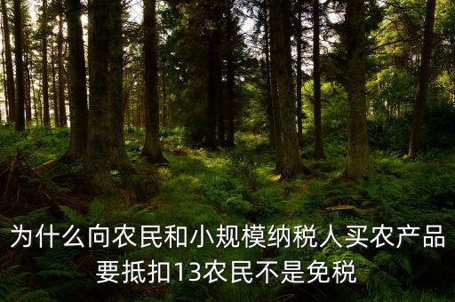農(nóng)產(chǎn)品為什么要扣除，為什么向農(nóng)民和小規(guī)模納稅人買農(nóng)產(chǎn)品要抵扣13農(nóng)民不是免稅