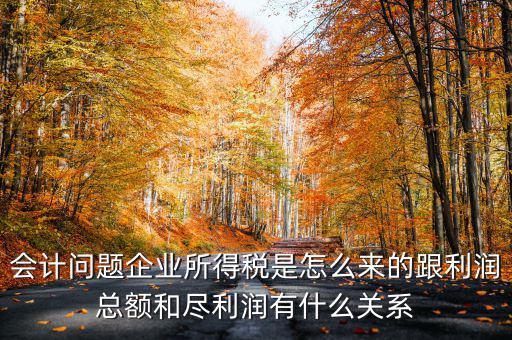 企業(yè)所得稅和什么有關(guān)，增值稅和企業(yè)所得稅有關(guān)系么