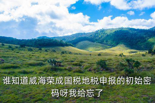 山東默認國稅密碼是什么，登錄國稅網(wǎng)上辦稅服務(wù)廳的用戶名和密碼是什么
