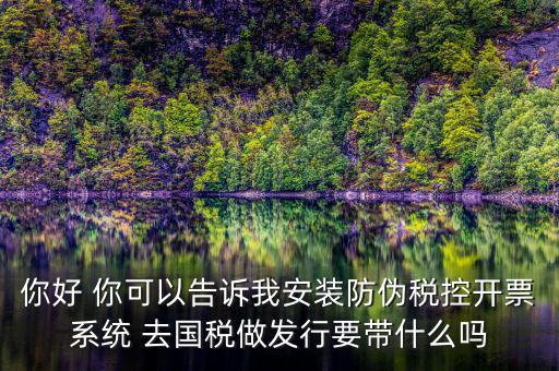 稅控發(fā)行是要做什么，稅控盤(pán)發(fā)行都呆哪些東西去稅務(wù)局需要法人去嗎