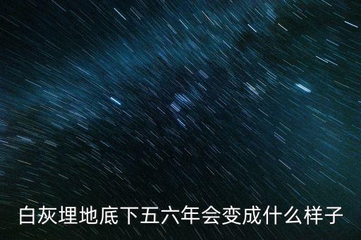 土地最底下是什么樣的，蛭石放在盆栽土壤的哪里土上還是土的最底下