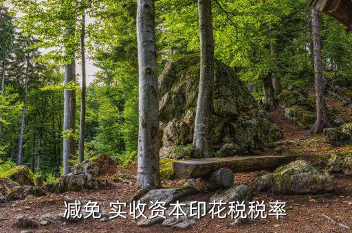 減實收資本要交什么稅，實收資本在注冊登記后就需要繳納印花稅以后按年度增加部分計算繳
