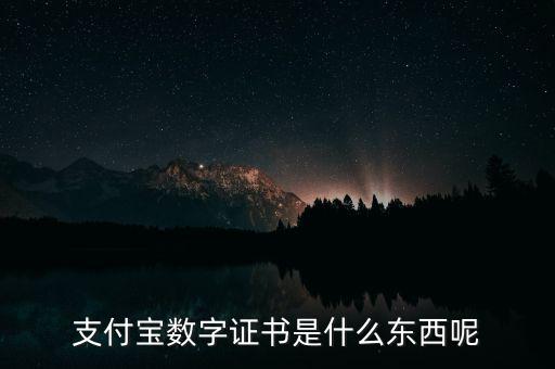 支付寶數(shù)字證書(shū)是什么東西呢