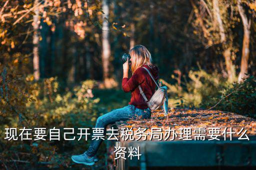 自己開專票要什么資料，開個(gè)人增值稅發(fā)票需要什么資料