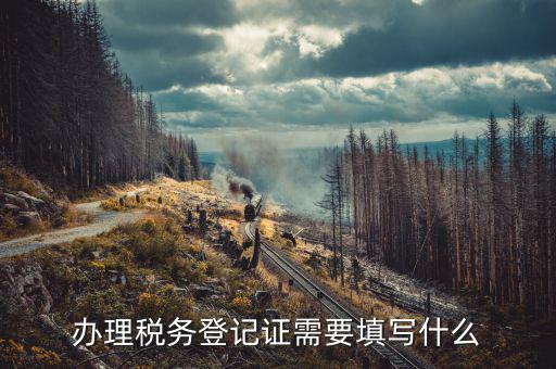 稅務(wù)登記地址填什么，填寫稅務(wù)登記地址是證件上的經(jīng)營地址還是批準設(shè)立機關(guān)的地址
