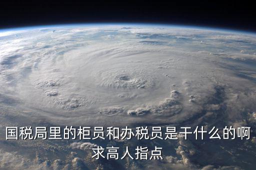 什么叫辦稅員，國(guó)稅局里的柜員和辦稅員是干什么的啊求高人指點(diǎn)