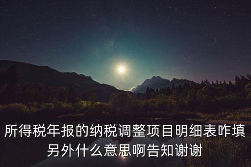 納稅調整項目明細表是什么意思，稅后調整是什么意思