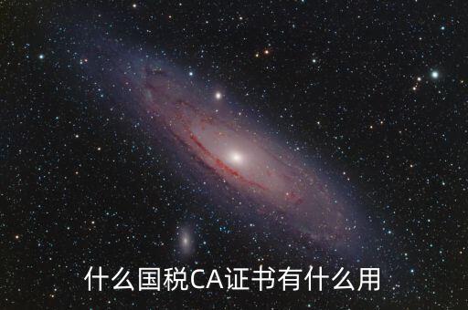 國稅ca登錄是什么，什么國稅CA證書有什么用