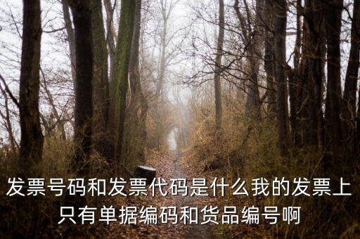 發(fā)票結(jié)存號碼是什么，發(fā)票號碼是指哪個號碼