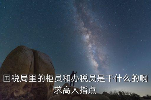 國(guó)稅志愿者可以做什么，國(guó)稅局里的柜員和辦稅員是干什么的啊求高人指點(diǎn)