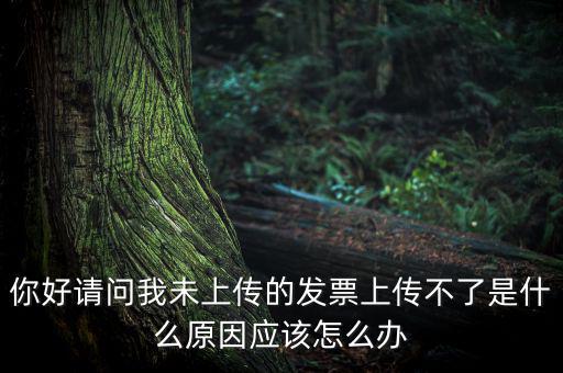發(fā)票沒上傳什么意思，發(fā)票系統(tǒng)顯示O張未上傳發(fā)票可是在查不到提示查無此票怎么回