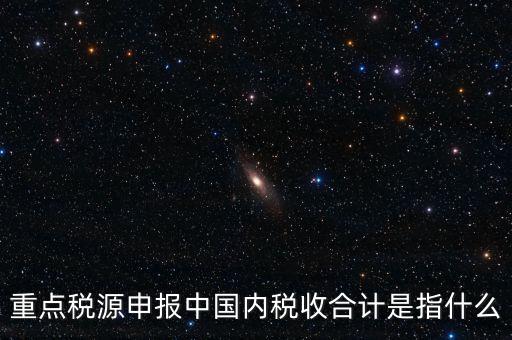 重點稅源申報中國內稅收合計是指什么