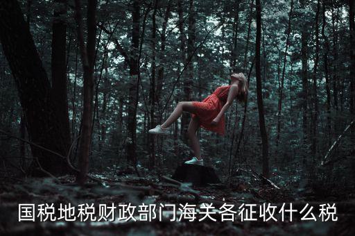 國稅地稅財政部門海關各征收什么稅