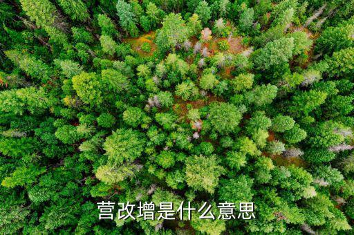 什么是營(yíng)改增發(fā)票，營(yíng)改增是什么意思