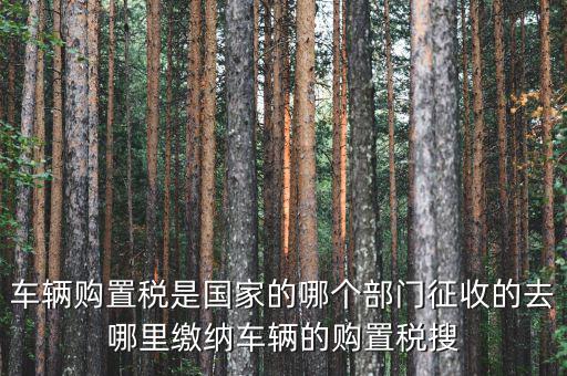 車購(gòu)稅局屬于什么，車輛購(gòu)置稅是國(guó)家的哪個(gè)部門(mén)征收的去哪里繳納車輛的購(gòu)置稅搜
