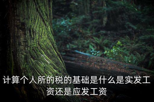 稅金的計算基礎(chǔ)是什么，計稅基礎(chǔ)是什么意思