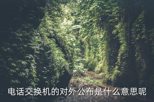 對外公開電話有什么，福建省廈門市湖里區(qū)人民法院對外公開號碼都有哪些